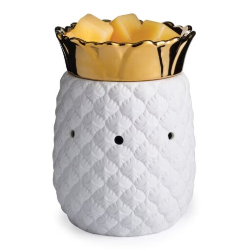 elektrische-waxbrander-ananas
