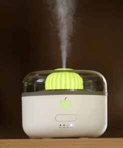aroma diffuser cactus