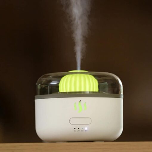 aroma diffuser cactus