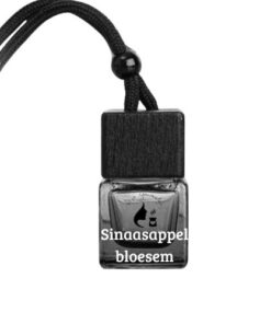 Autoparfum sinaasappel