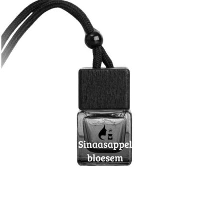 Autoparfum sinaasappel